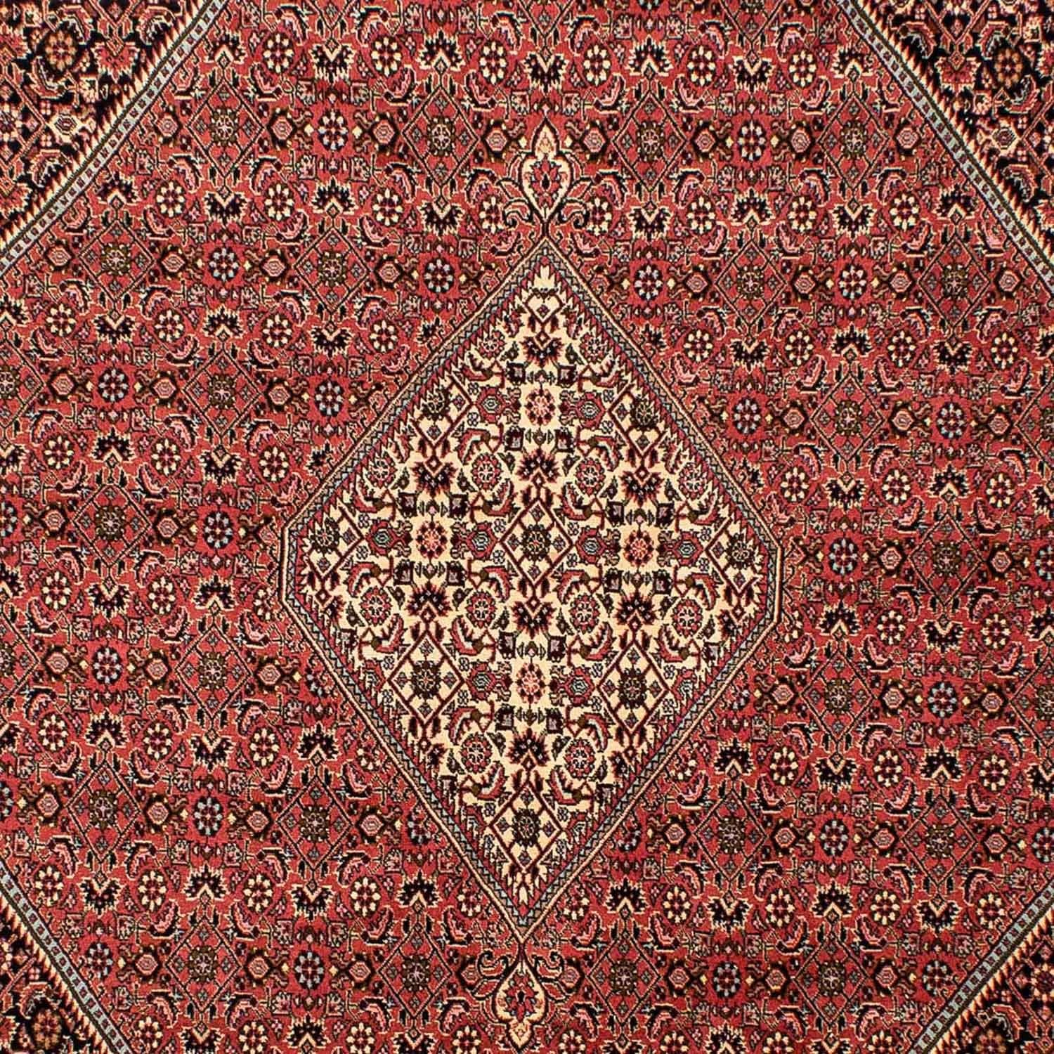 Tappeto Persero - Bidjar - 293 x 205 cm - rosso chiaro