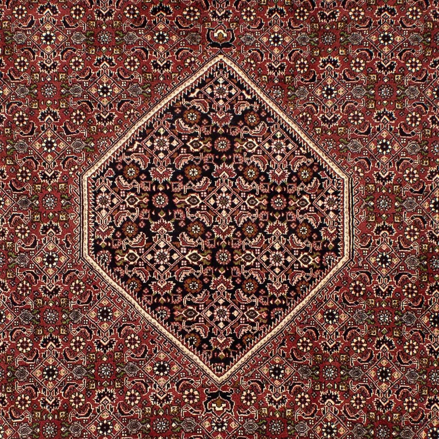 Tappeto Persero - Bidjar - 300 x 197 cm - marrone