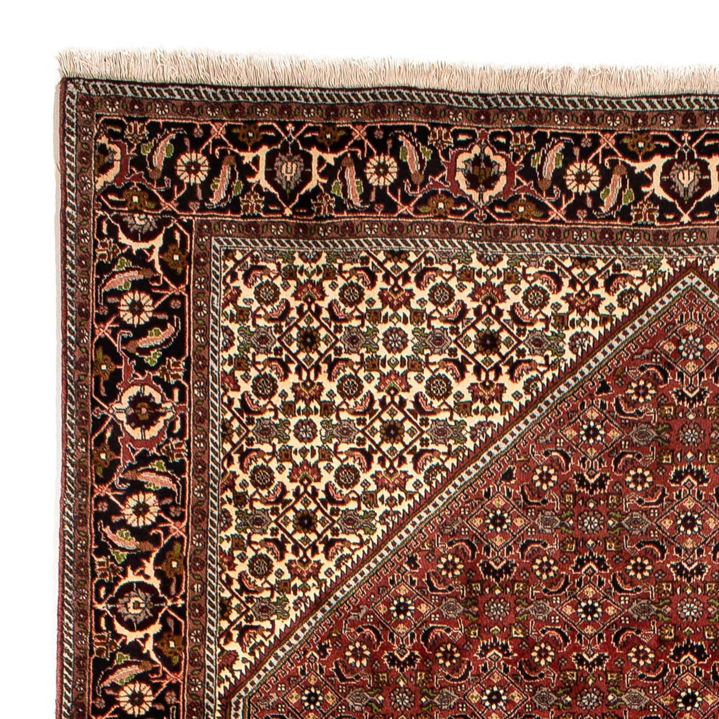 Bidjar Tappeto 300x197cm - Tappeto persiano