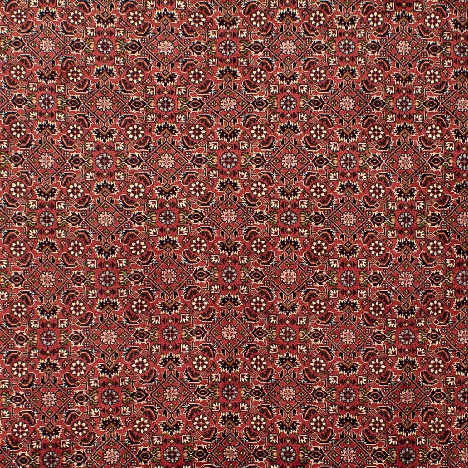 Tappeto Persero - Bidjar - 310 x 196 cm - rosso scuro