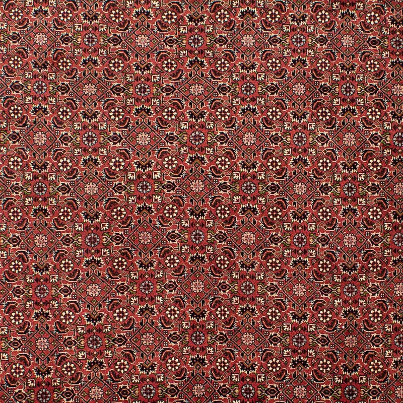 Tappeto Persero - Bidjar - 310 x 196 cm - rosso scuro