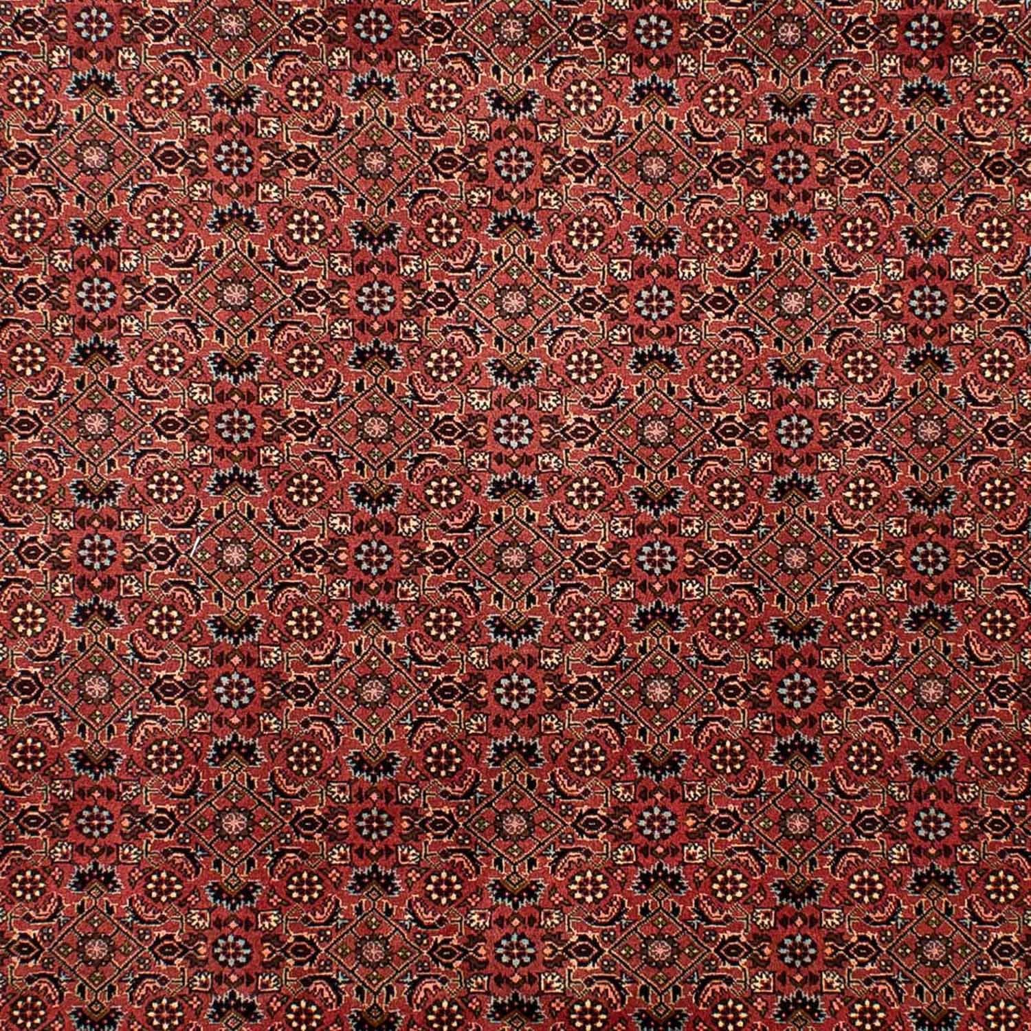 Tappeto Persero - Bidjar - 292 x 203 cm - rosso scuro