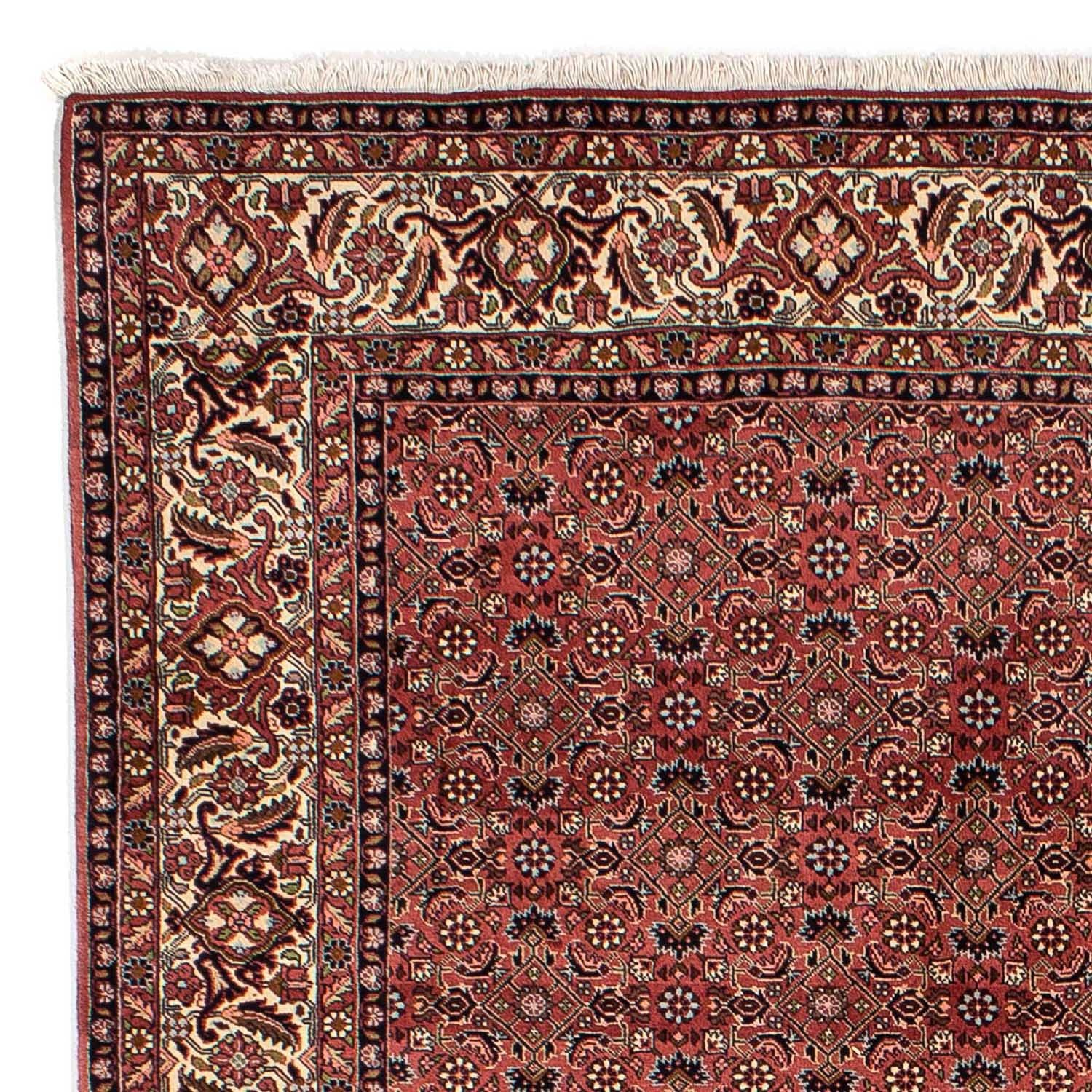 Tappeto Persero - Bidjar - 292 x 203 cm - rosso scuro