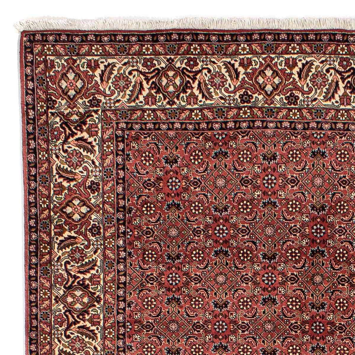 Tappeto Persero - Bidjar - 292 x 203 cm - rosso scuro