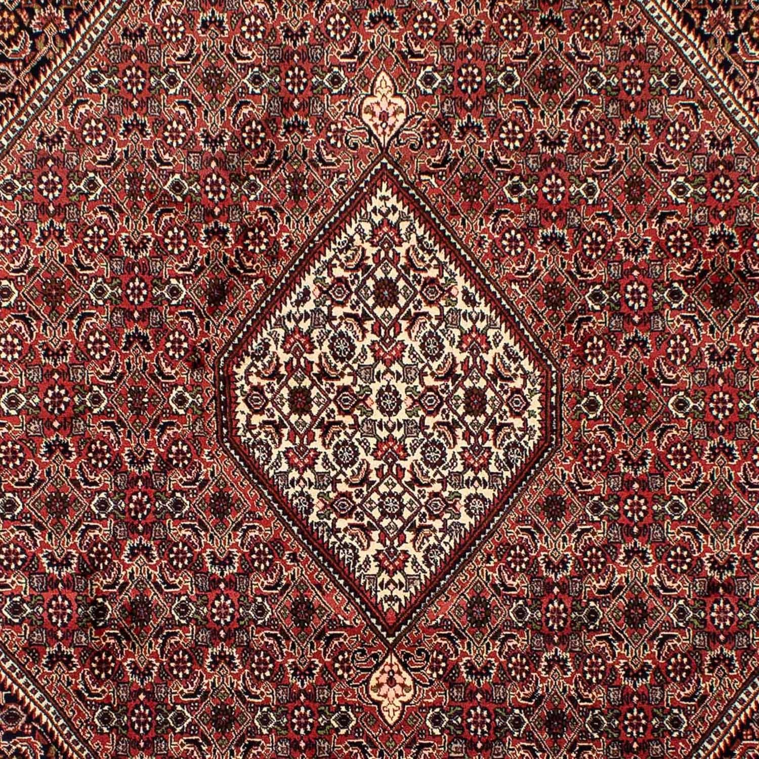 Tappeto Persero - Bidjar - 292 x 200 cm - rosso scuro