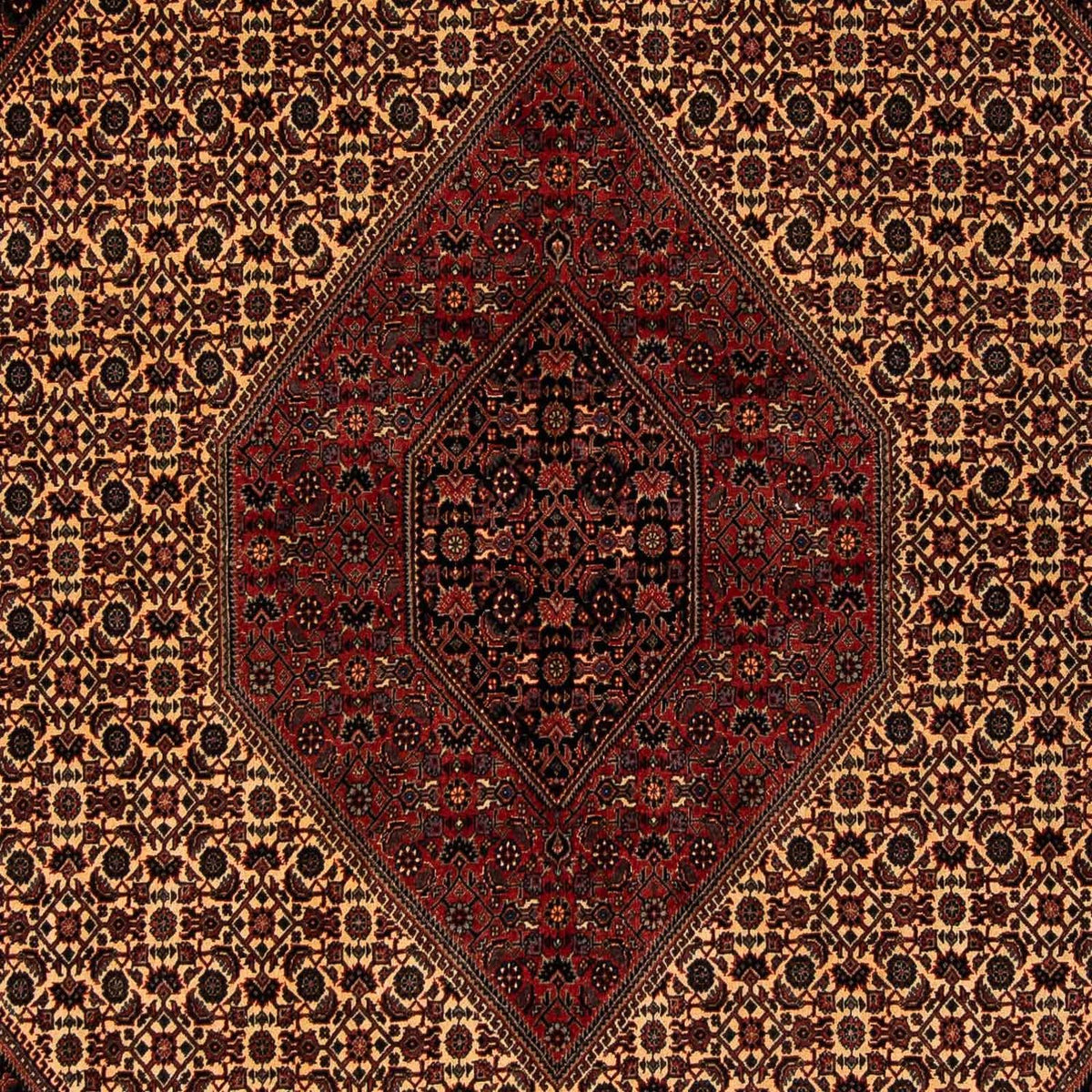 Tappeto Persero - Bidjar - 250 x 200 cm - rosso scuro