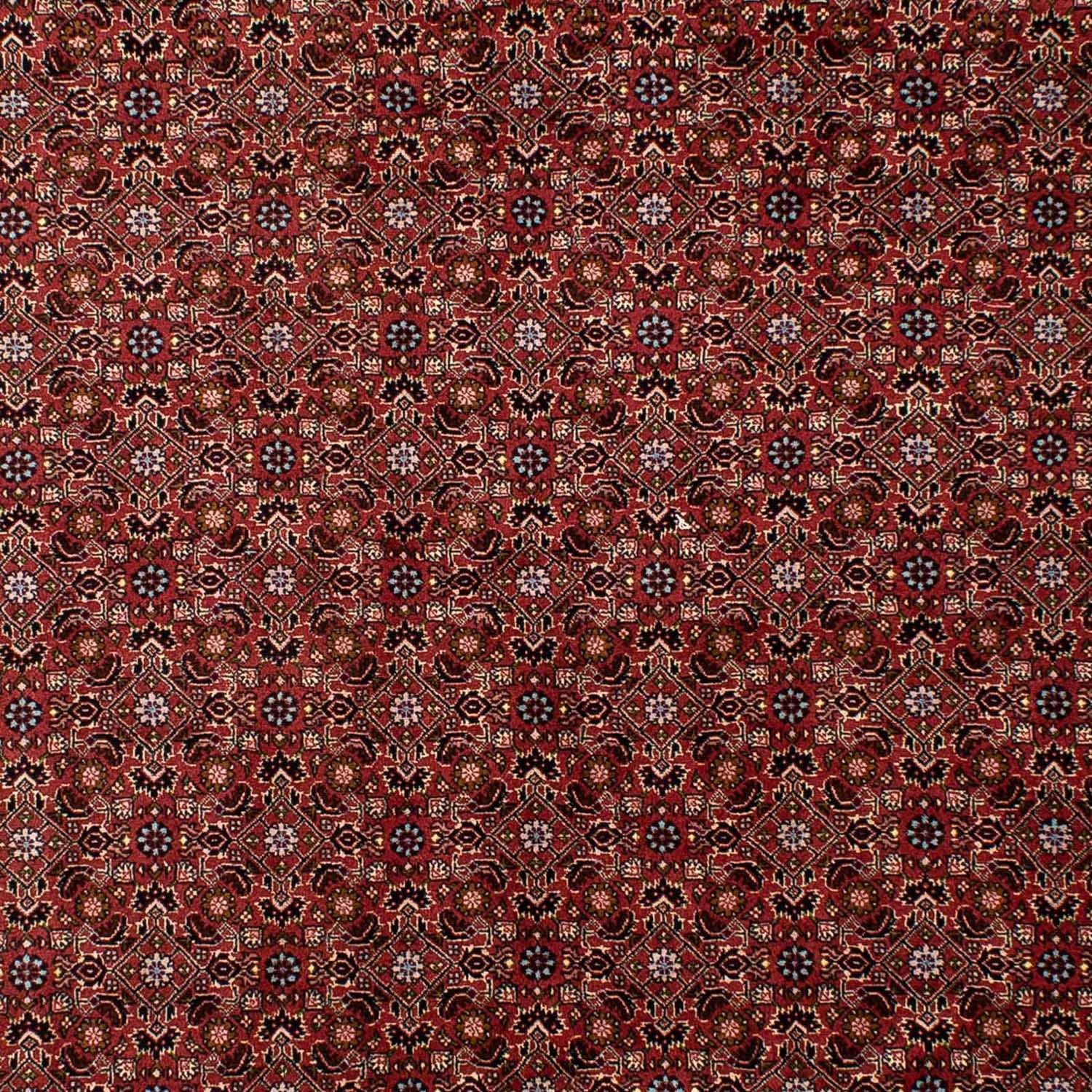 Tappeto Persero - Bidjar - 288 x 198 cm - rosso scuro
