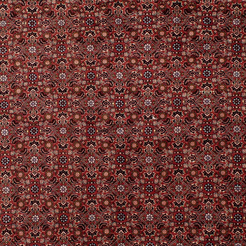 Tappeto Persero - Bidjar - 288 x 198 cm - rosso scuro