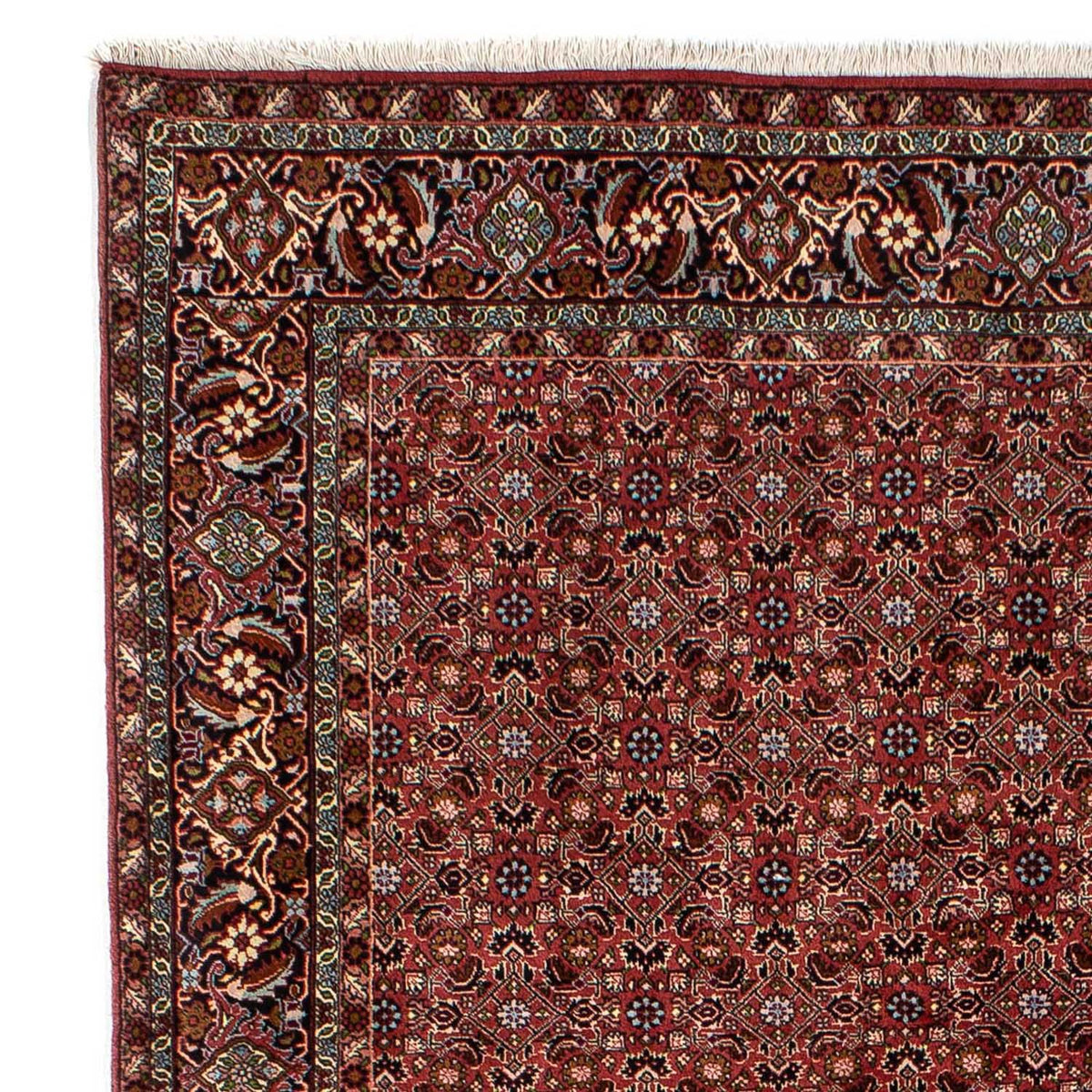 Bidjar Tappeto 198x288cm - Tappeto persiano