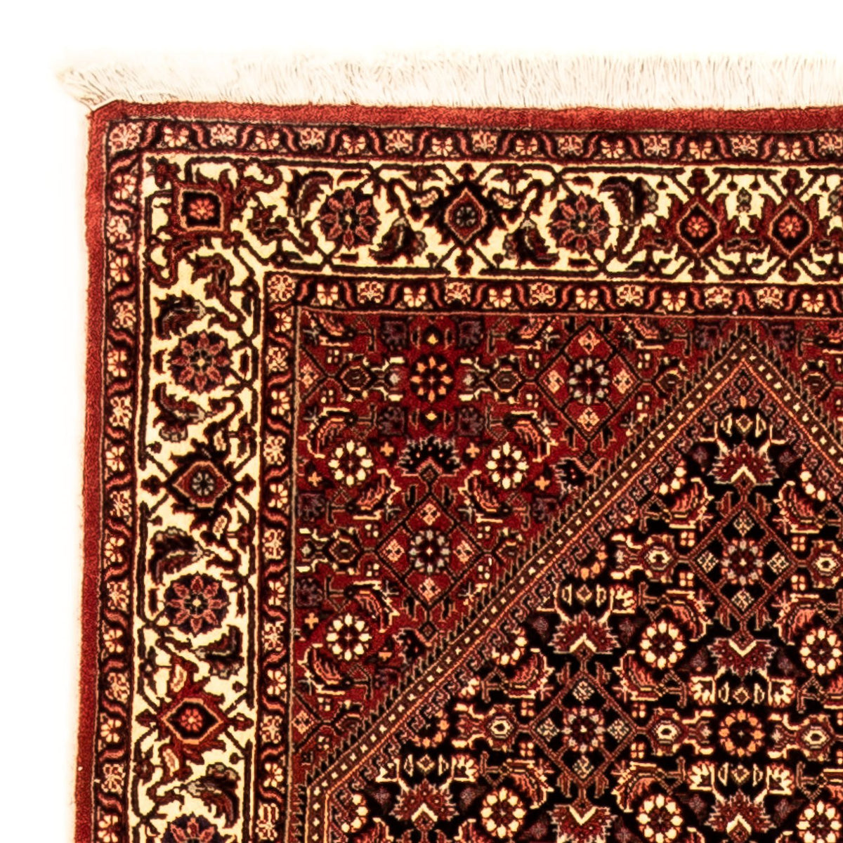 Tappeto corsia Tappeto Persero - Bidjar - 315 x 86 cm - multicolore