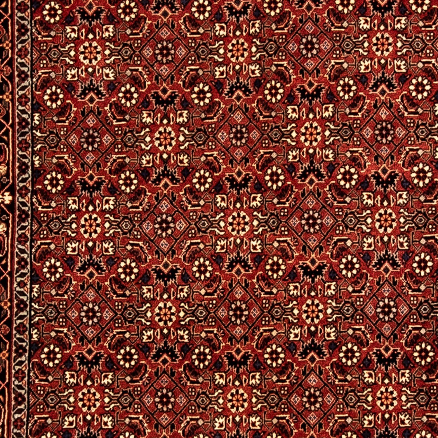 Tappeto corsia Tappeto Persero - Bidjar - 296 x 81 cm - multicolore