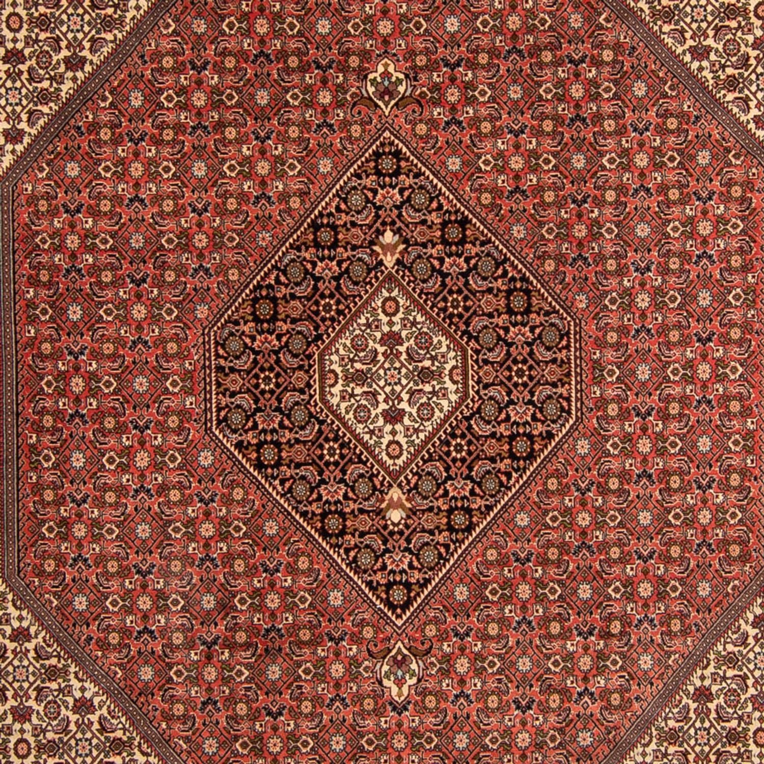 Tappeto Persero - Bidjar - 343 x 250 cm - marrone