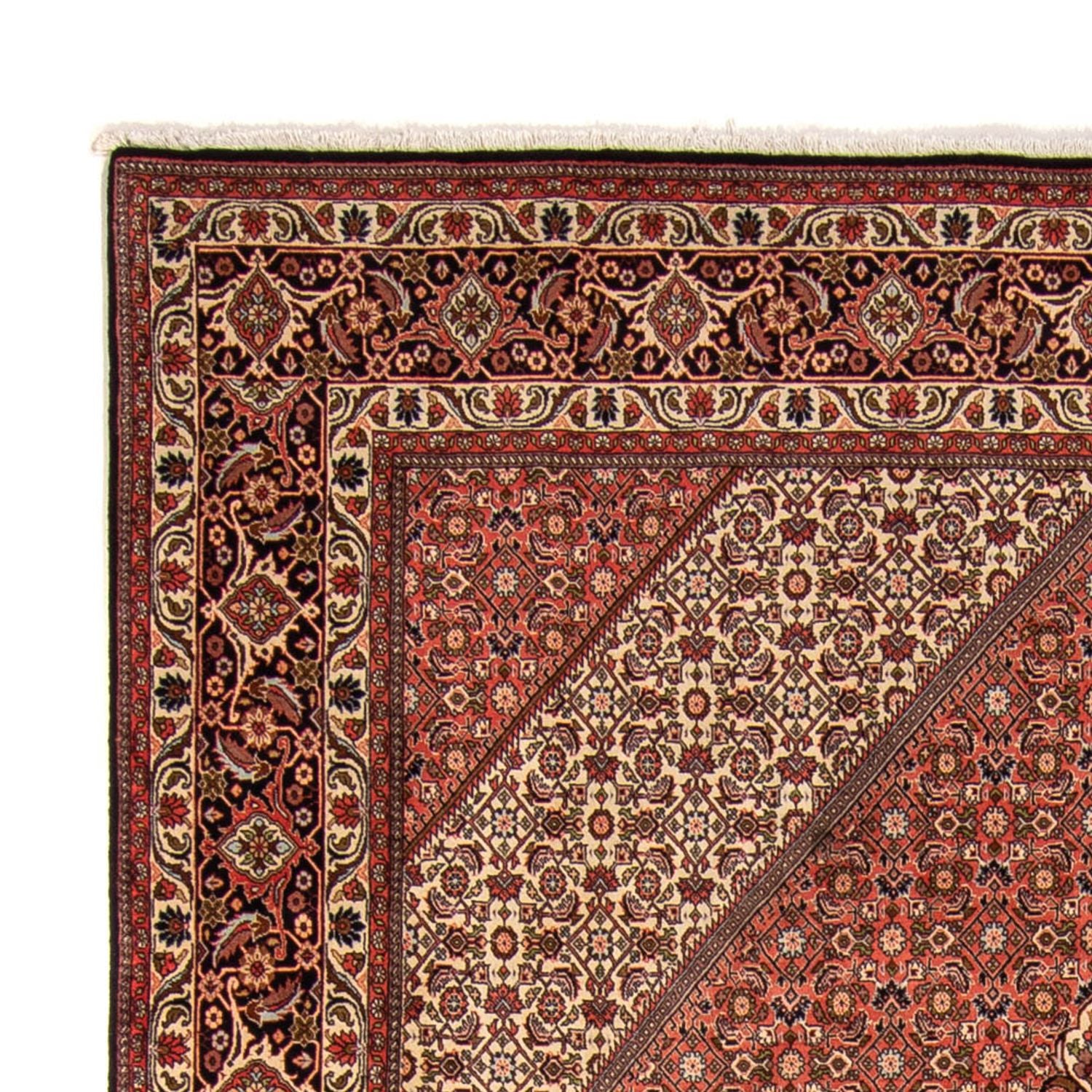 Tappeto Persero - Bidjar - 343 x 250 cm - marrone