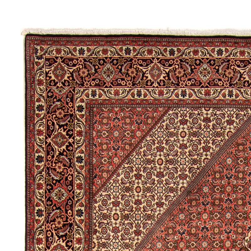 Tappeto Persero - Bidjar - 343 x 250 cm - marrone