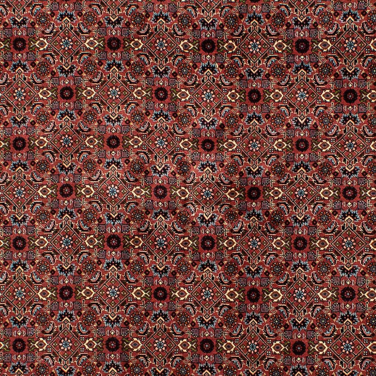 Tappeto Persero - Bidjar - 257 x 178 cm - rosso scuro