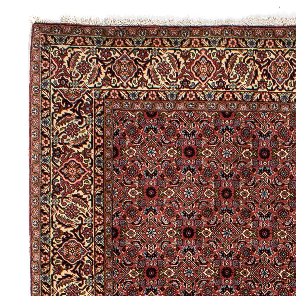 Tappeto Persero - Bidjar - 257 x 178 cm - rosso scuro