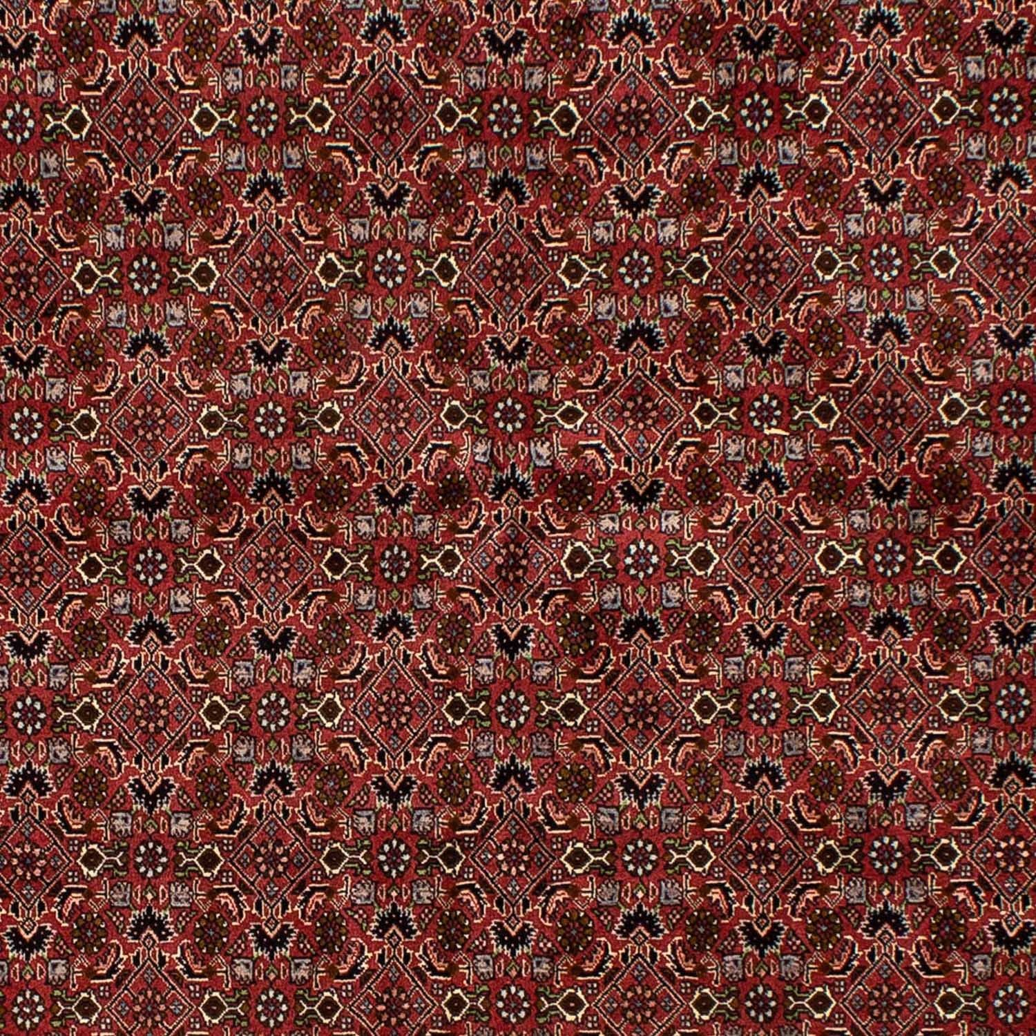 Tappeto Persero - Bidjar - 245 x 177 cm - rosso scuro