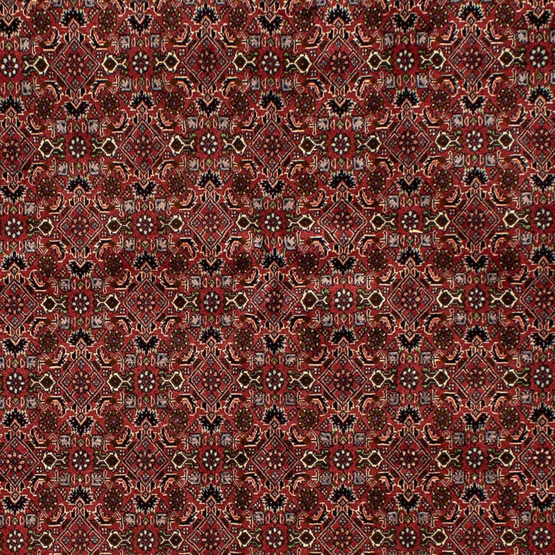 Tappeto Persero - Bidjar - 245 x 177 cm - rosso scuro