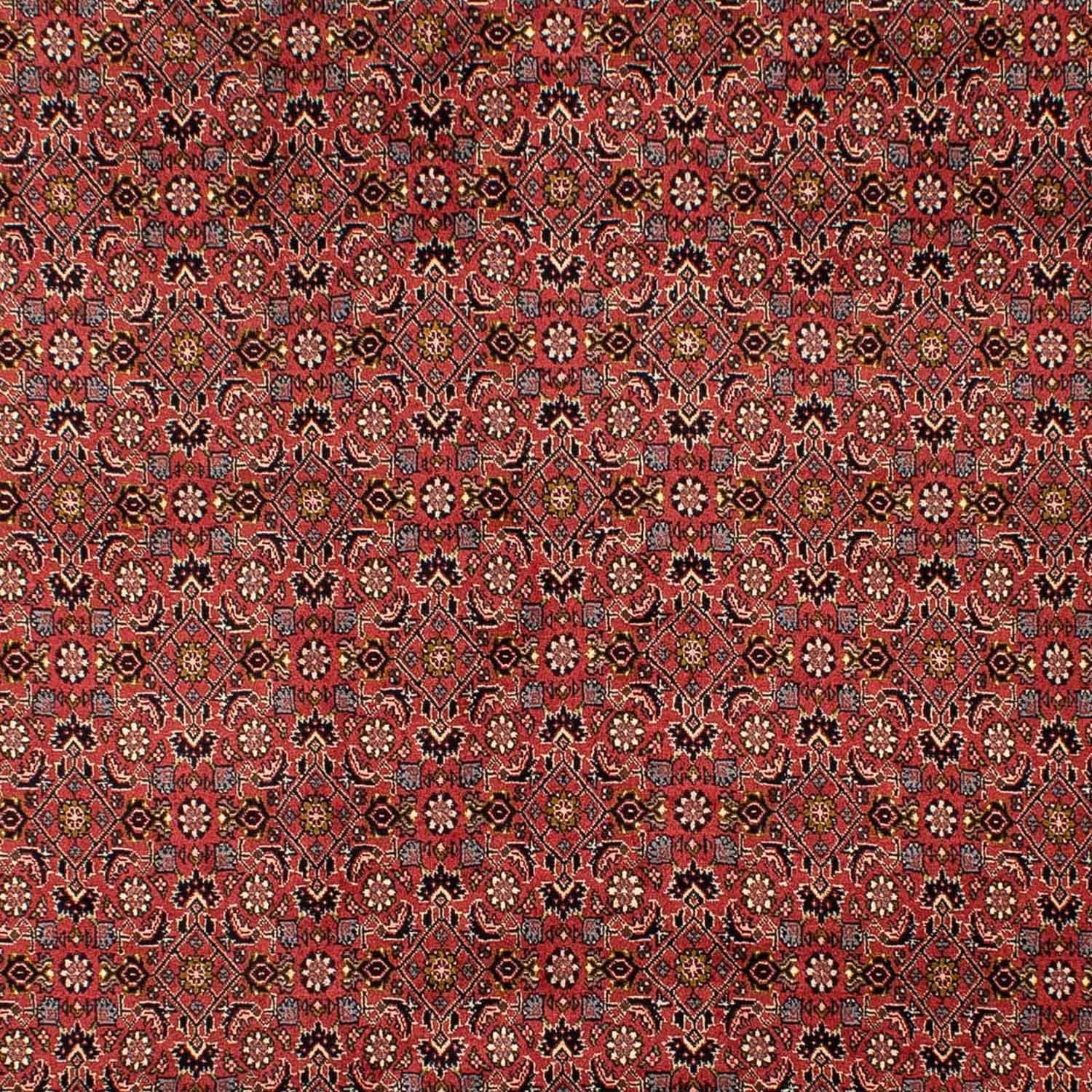 Tappeto Persero - Bidjar - 293 x 206 cm - rosso scuro
