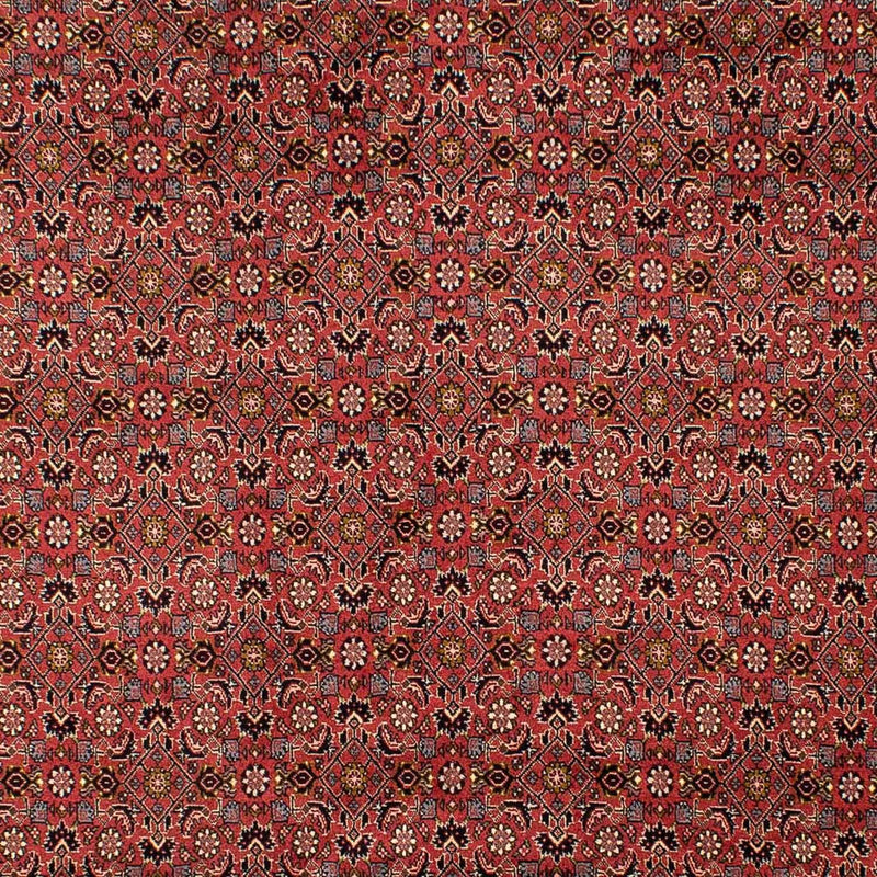 Tappeto Persero - Bidjar - 293 x 206 cm - rosso scuro