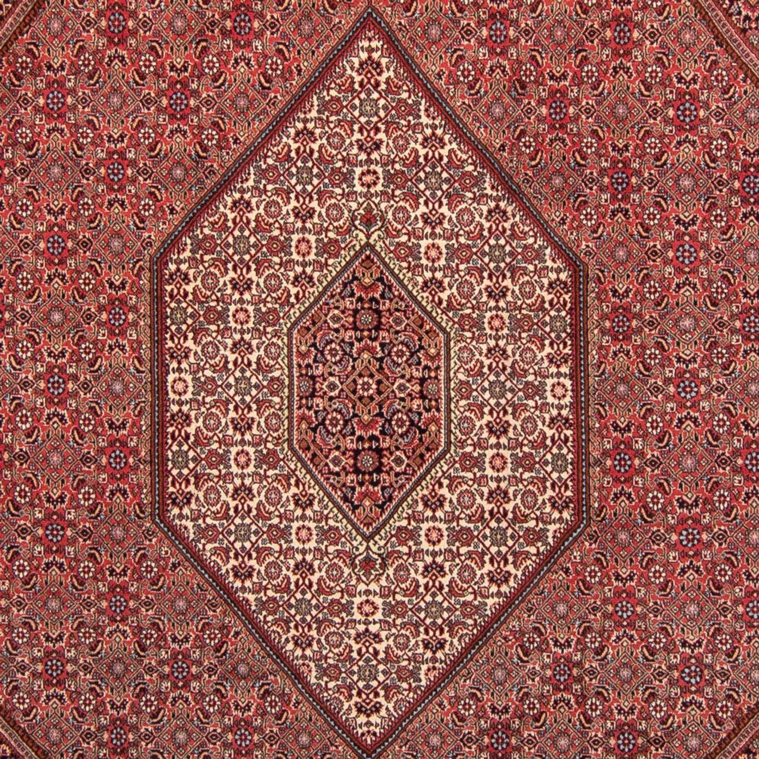 Tappeto Persero - Bidjar - 350 x 248 cm - rosso chiaro