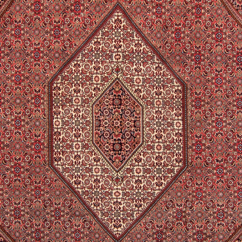 Tappeto Persero - Bidjar - 350 x 248 cm - rosso chiaro