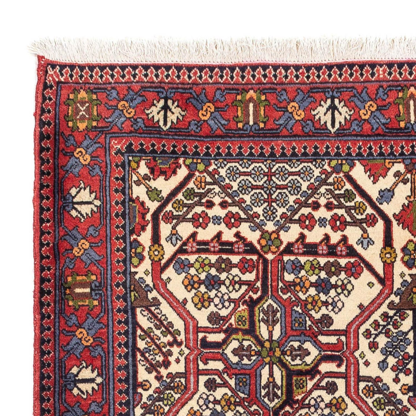 Abadeh Tappeto 160x110cm - Tappeto persiano