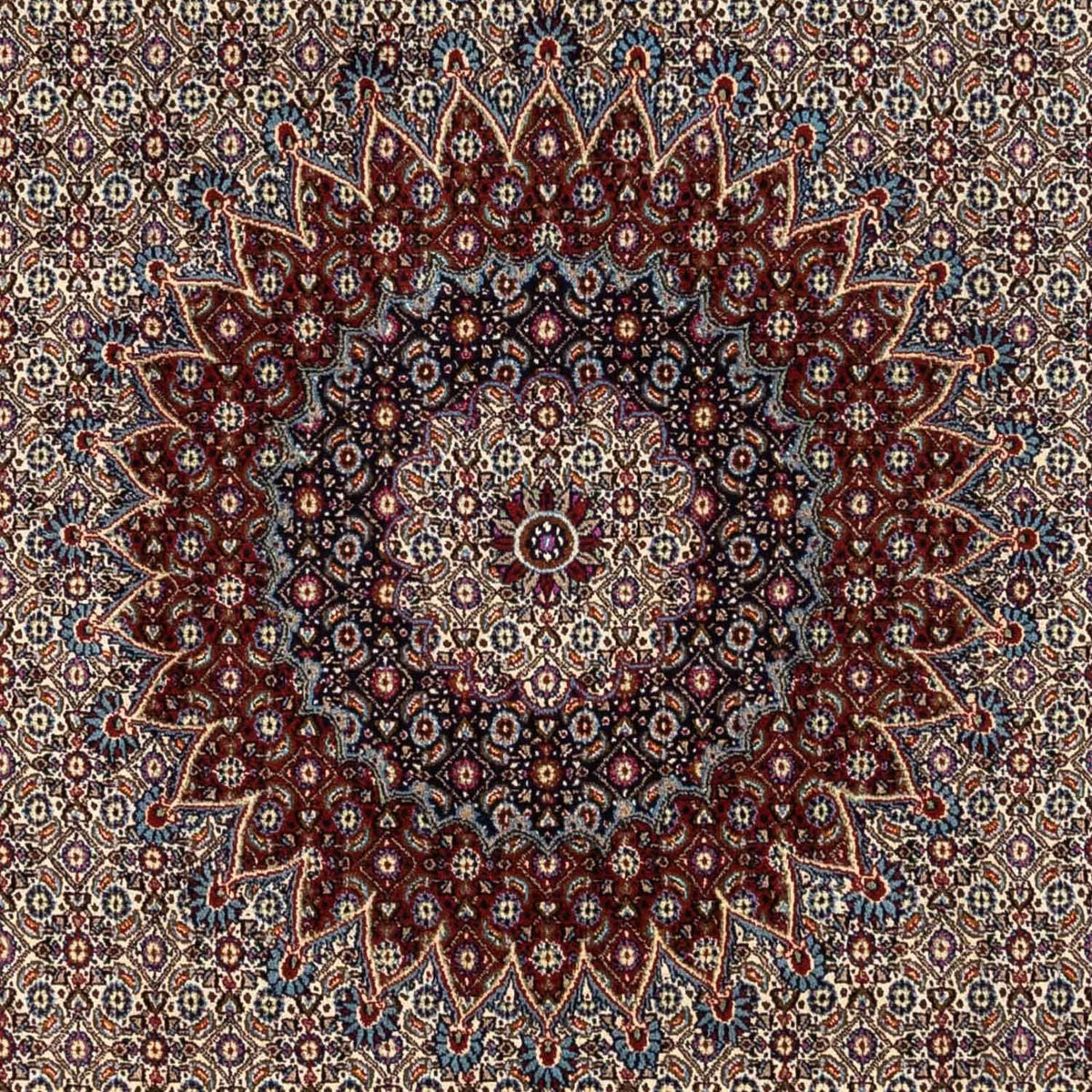 Tappeto Persero - Classico - 346 x 248 cm - beige