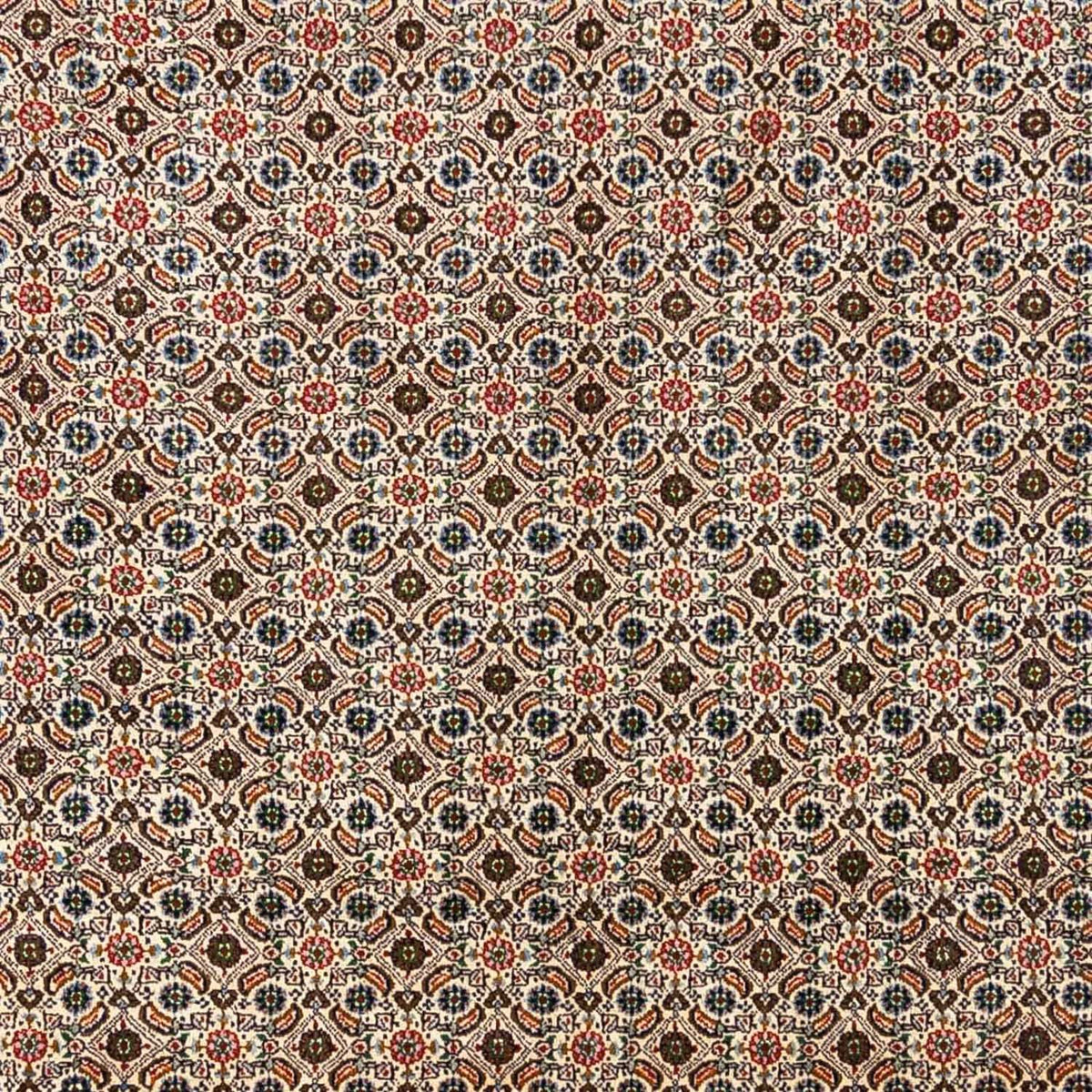 Tappeto Persero - Classico - 345 x 244 cm - beige
