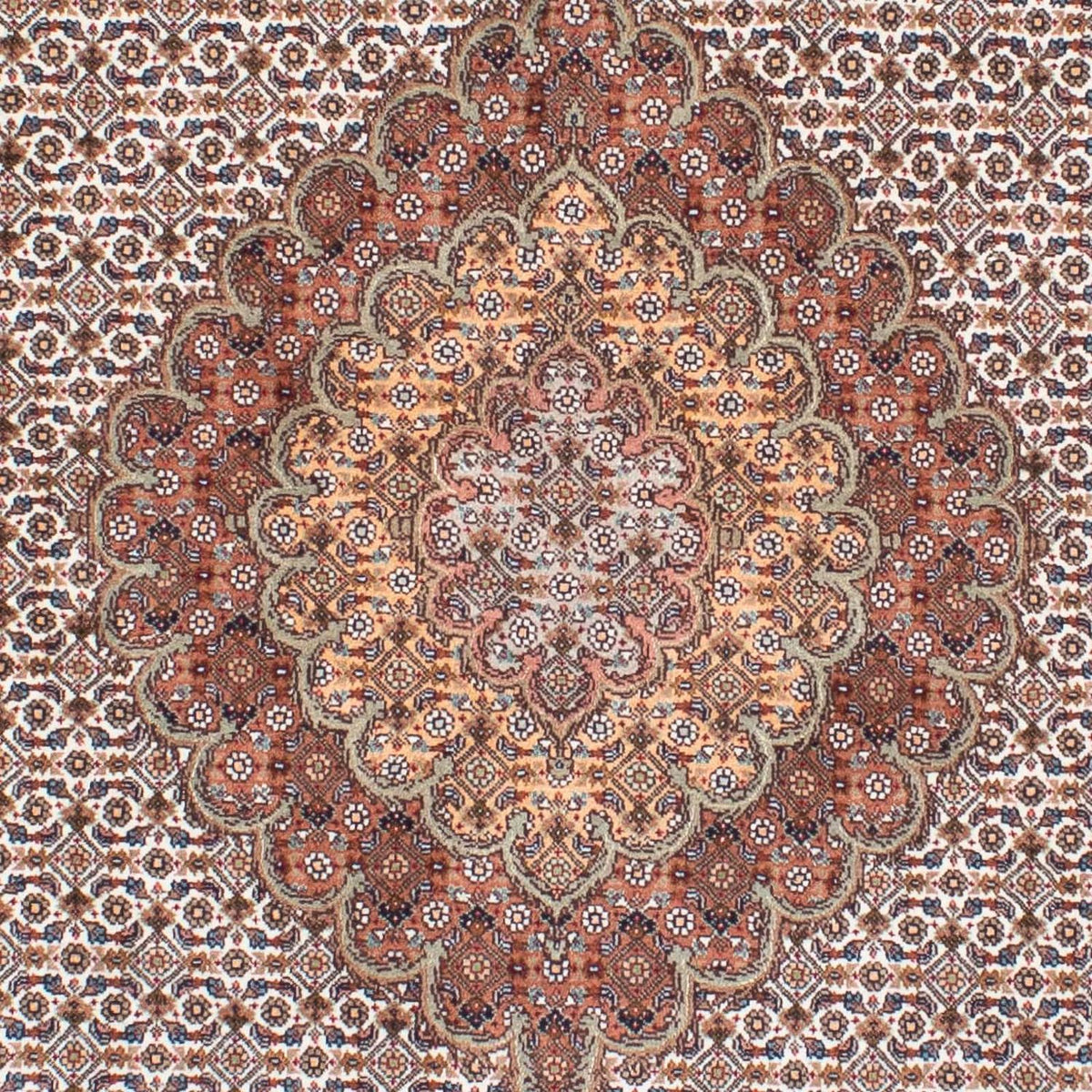 Tappeto Persero - Tabriz - 198 x 152 cm - marrone chiaro