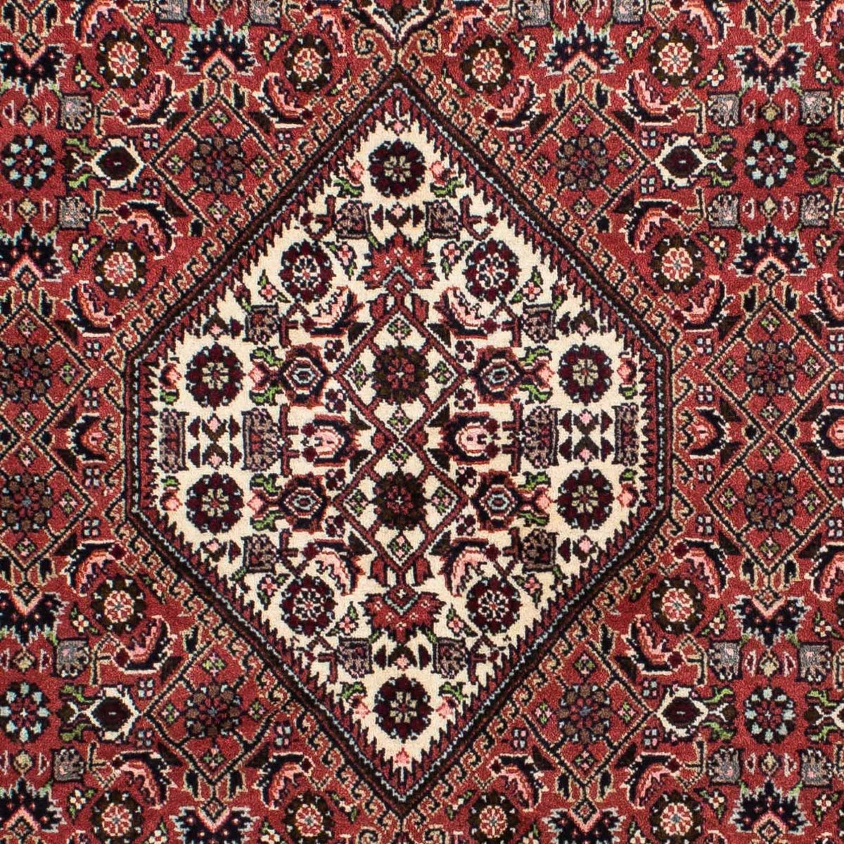 Tappeto Persero - Bidjar - 215 x 140 cm - rosso
