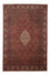 Tappeto Persero - Bidjar - 288 x 200 cm - marrone