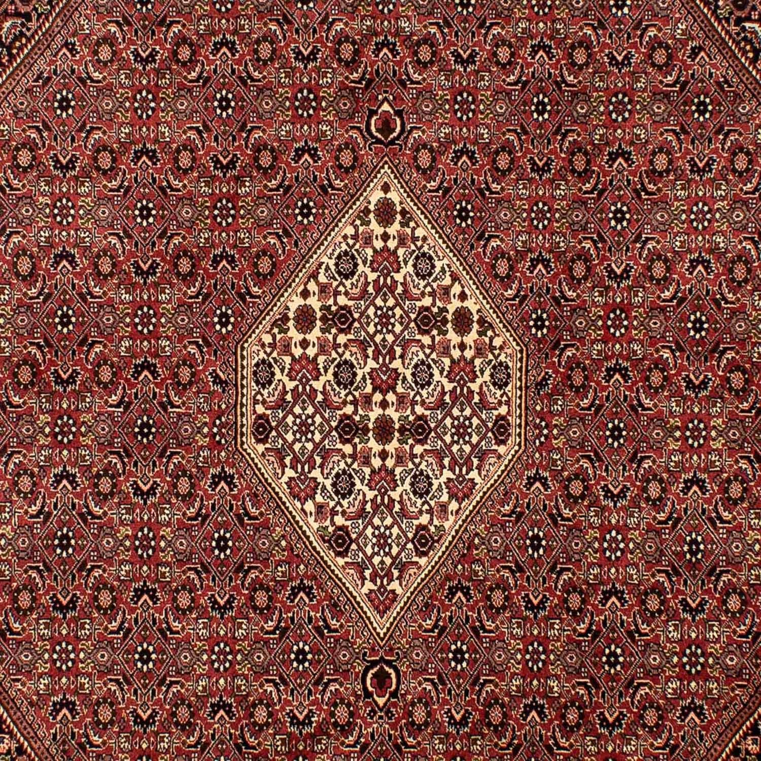 Tappeto Persero - Bidjar - 288 x 200 cm - marrone