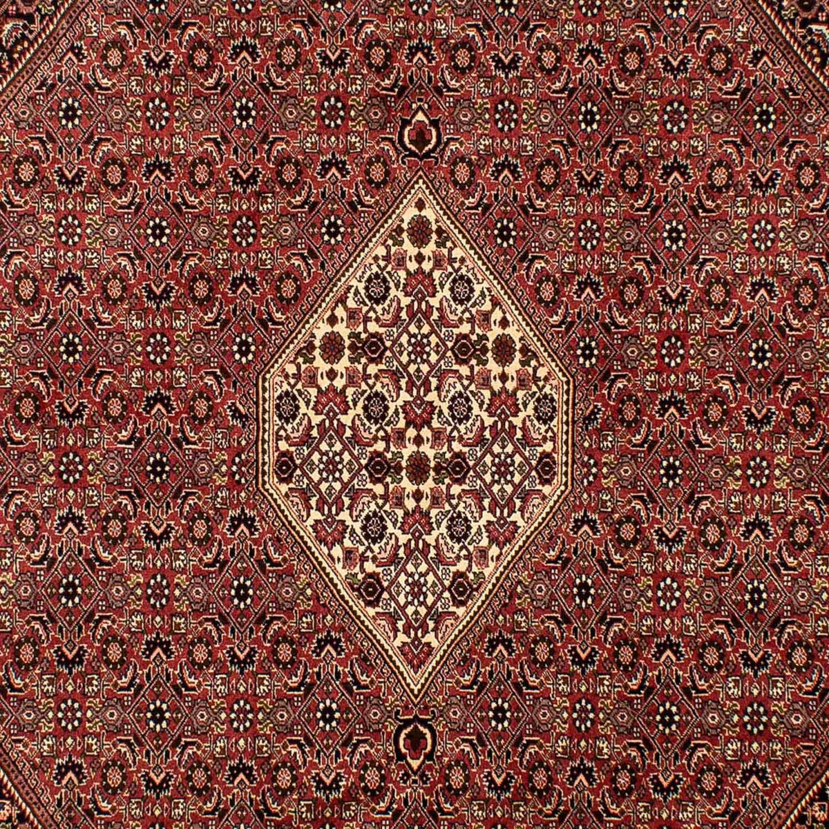 Tappeto Persero - Bidjar - 288 x 200 cm - marrone