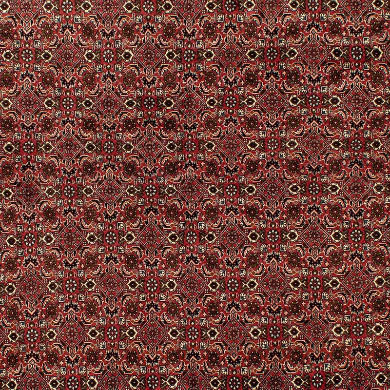 Tappeto Persero - Bidjar - 284 x 202 cm - marrone