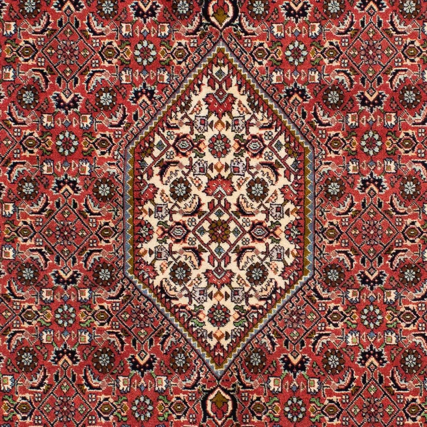 Tappeto Persero - Bidjar - 218 x 137 cm - rosso