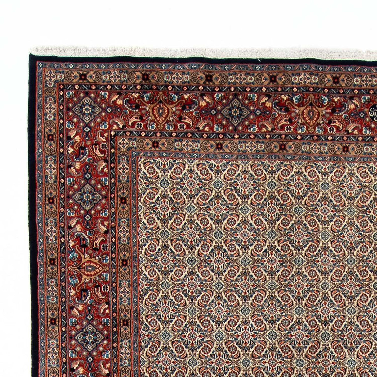 Moud Tappeto 210x304cm - Tappeto persiano