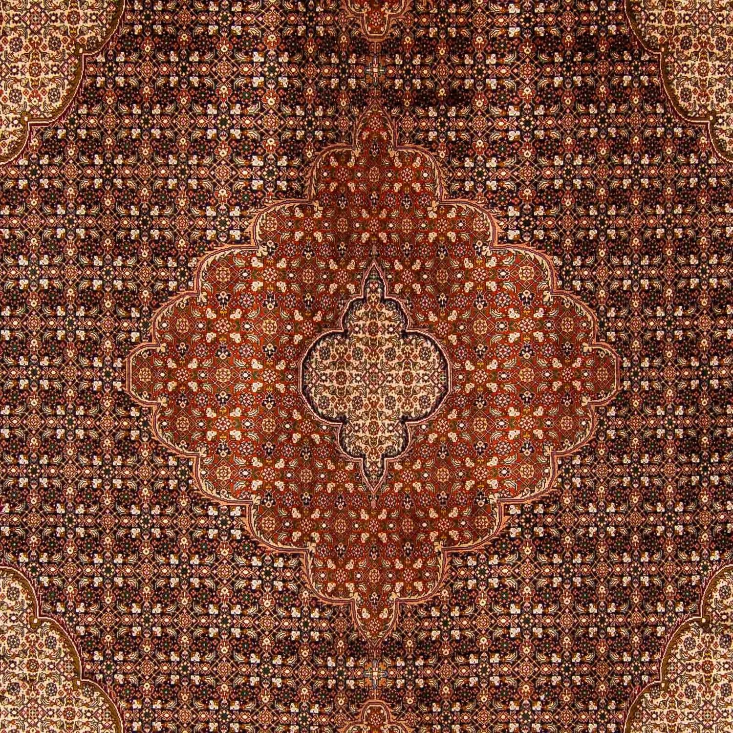 Tappeto Persero - Tabriz - 390 x 295 cm - marrone