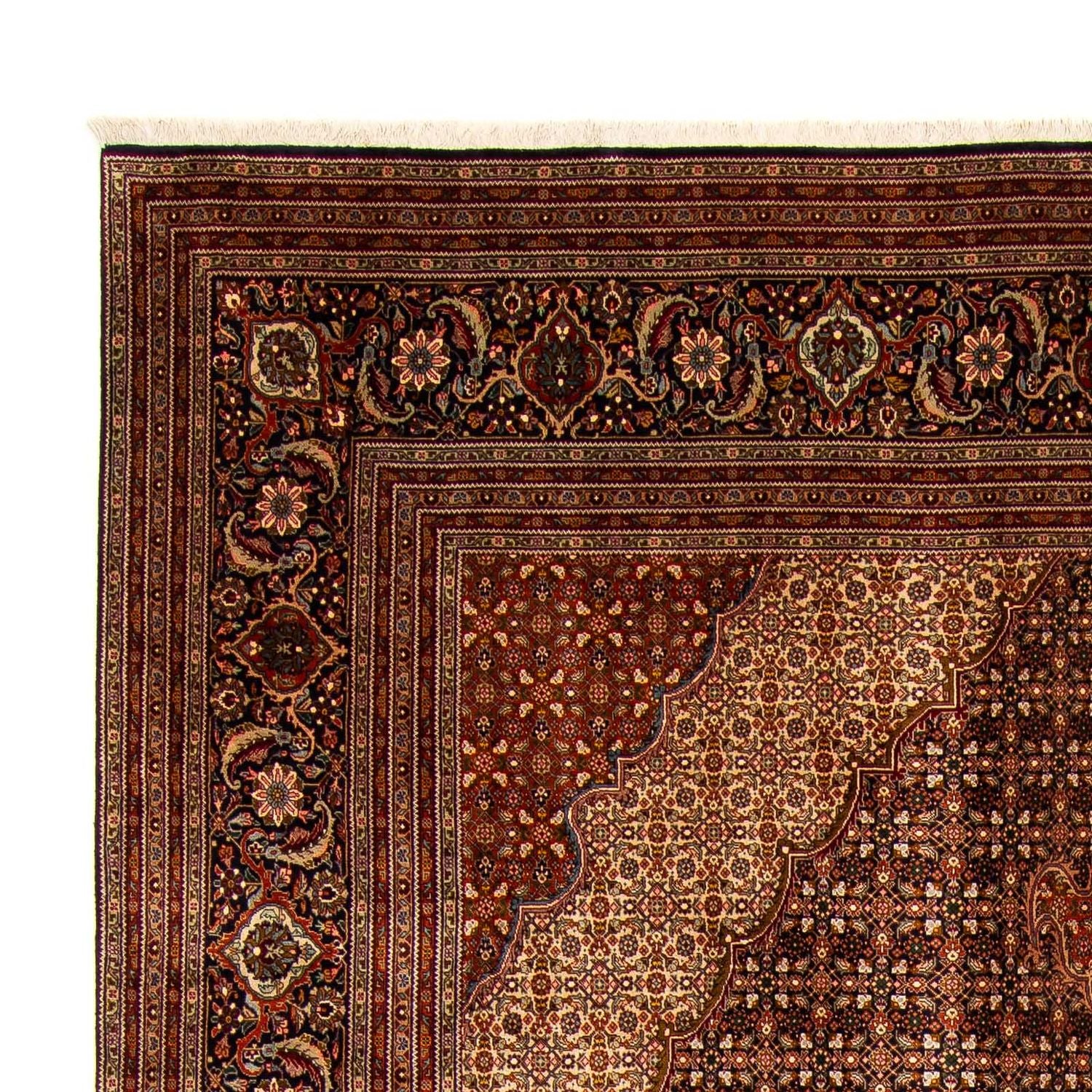 Tappeto Persero - Tabriz - 390 x 295 cm - marrone
