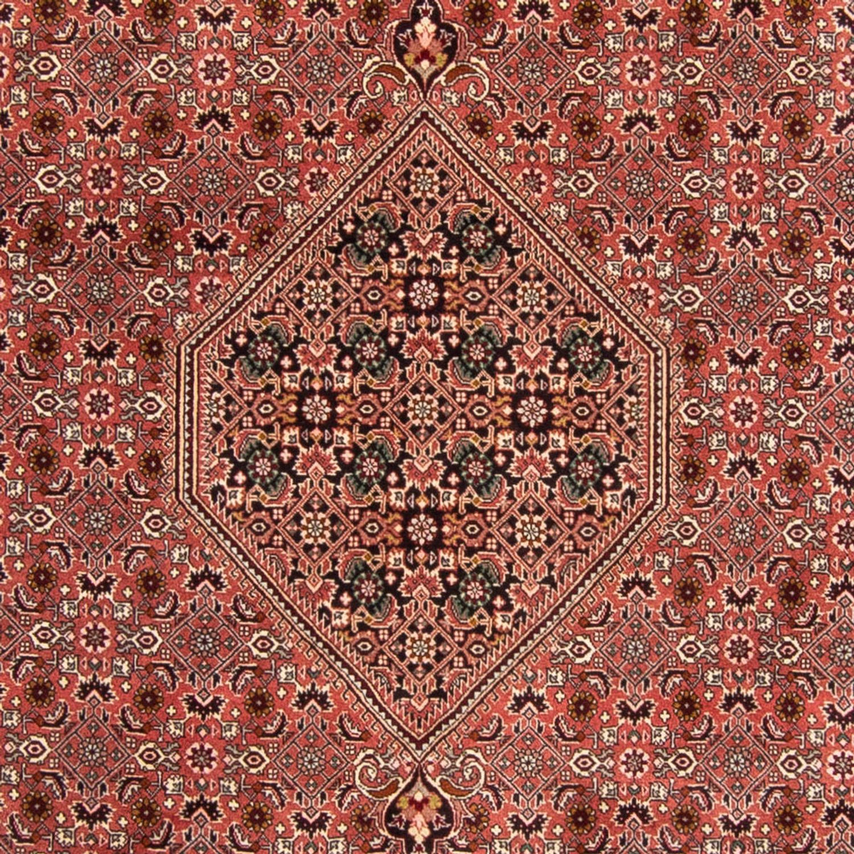 Tappeto Persero - Bidjar - 340 x 248 cm - rosso chiaro