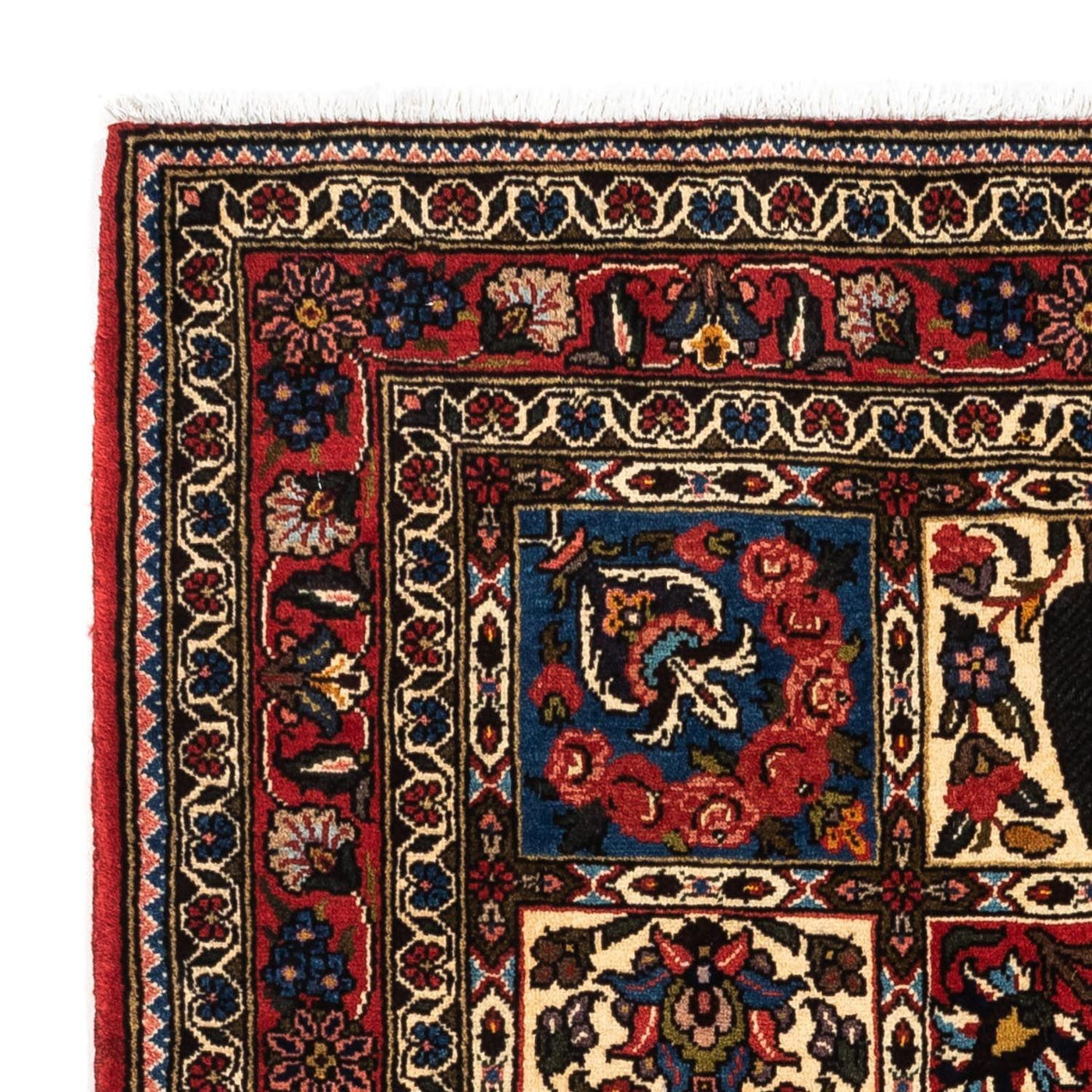 Bakhtiari Tappeto 153x103cm - Tappeto persiano