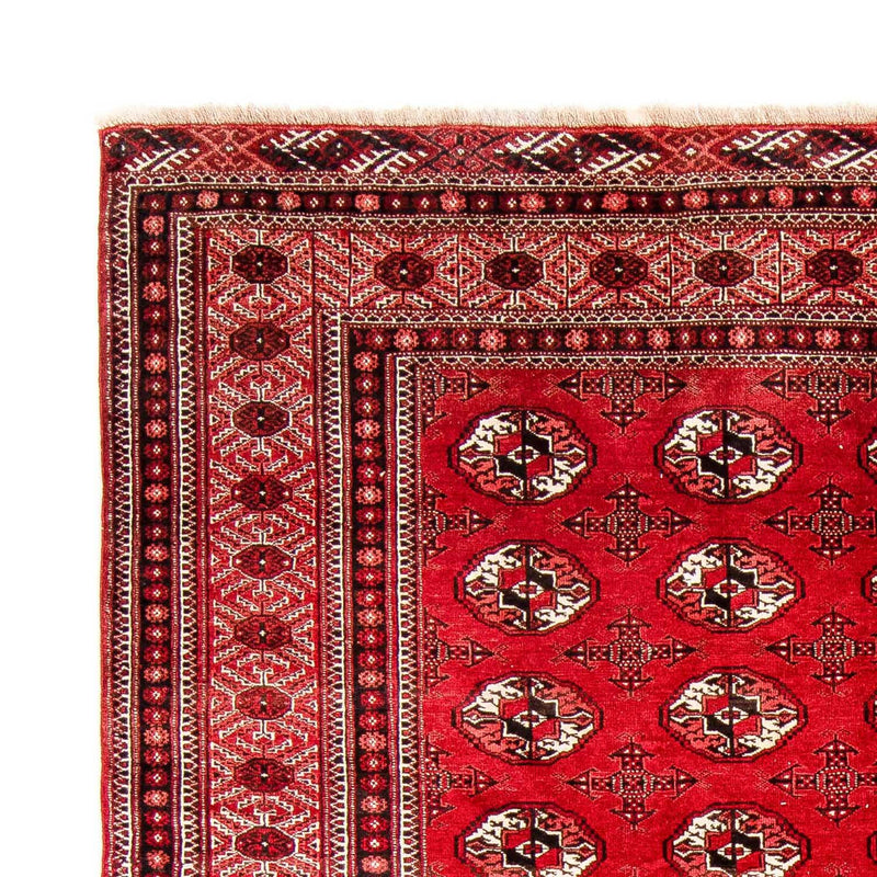 Tappeto Turkaman - 368 x 248 cm - rosso scuro
