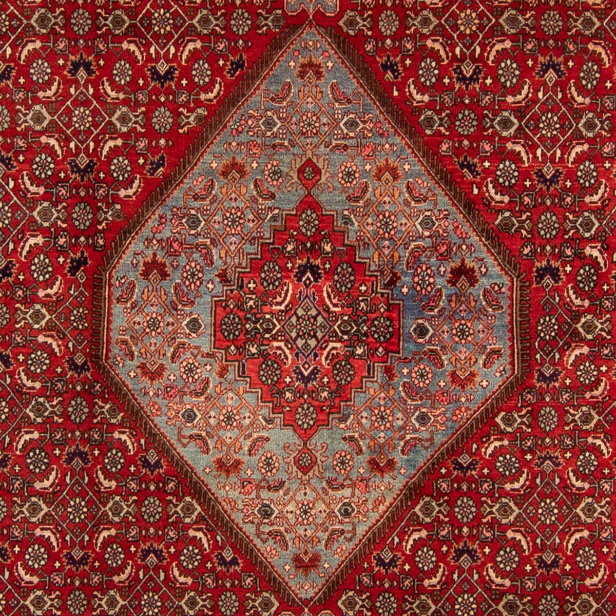 Tappeto Persero - Bidjar - 332 x 228 cm - rosso scuro