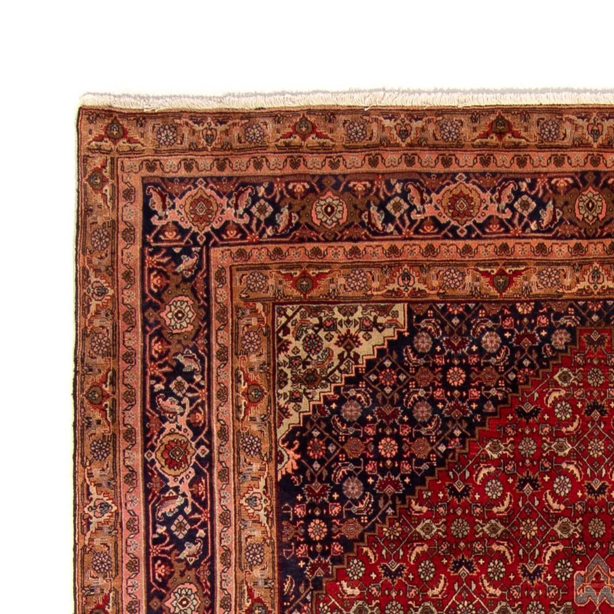 Bidjar Tappeto 228x332cm - Tappeto persiano