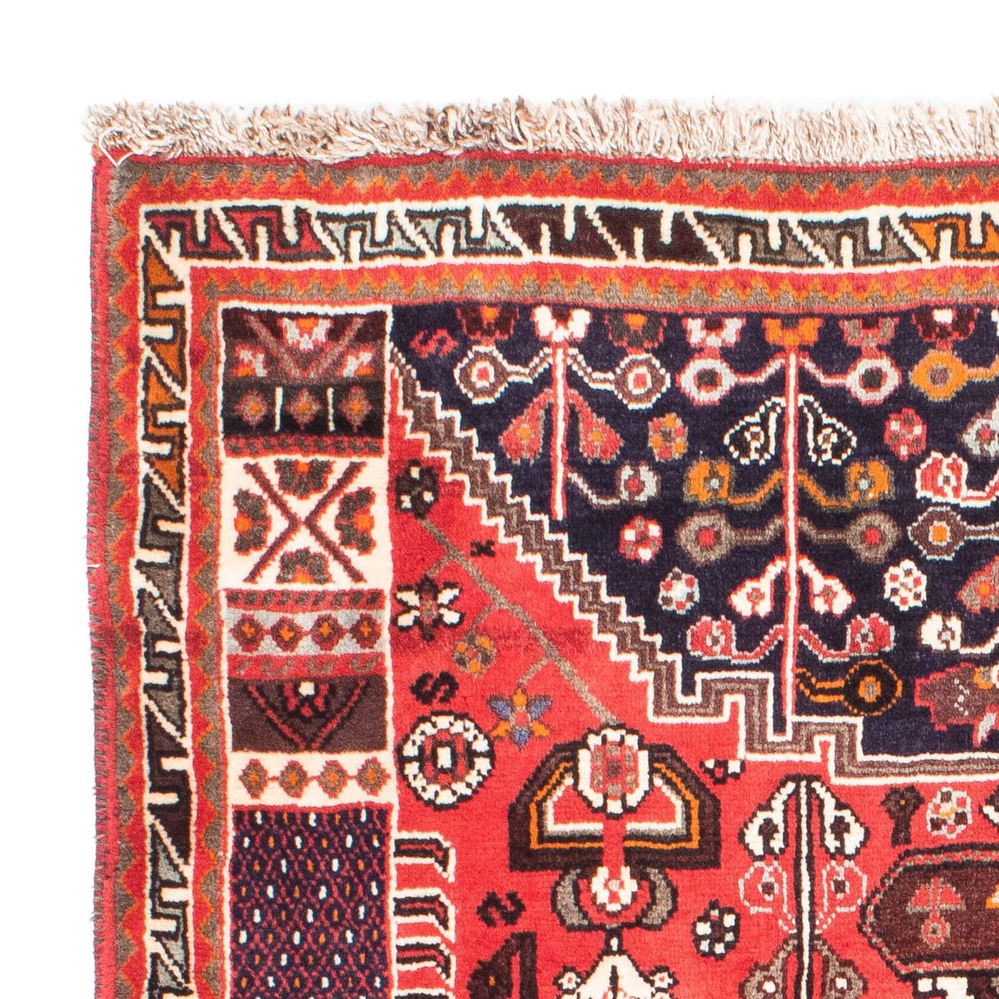 Shiraz Tappeto 158x118cm - Tappeto persiano