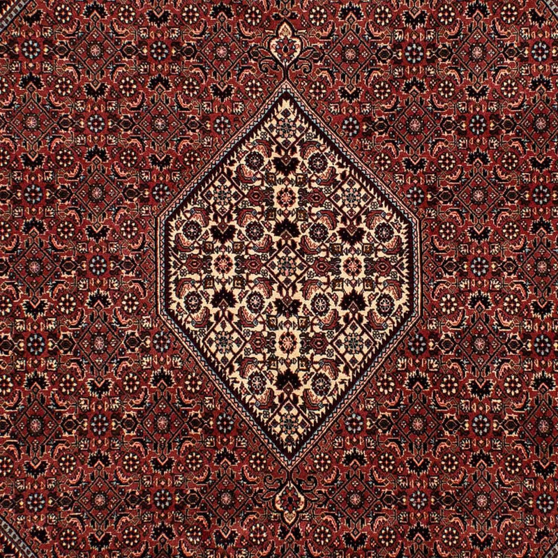 Tappeto Persero - Bidjar - 302 x 198 cm - rosso scuro