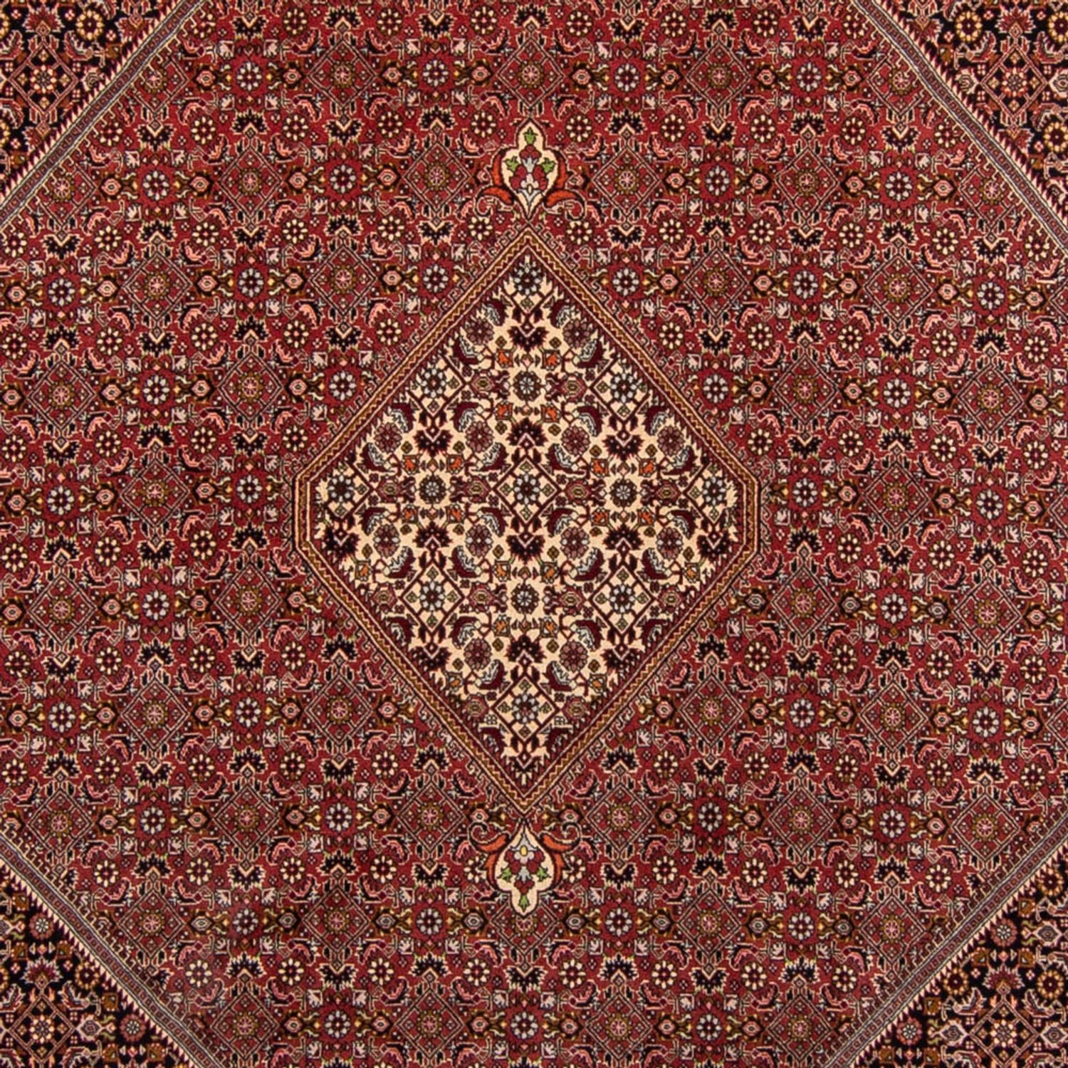 Tappeto Persero - Bidjar - 338 x 250 cm - marrone