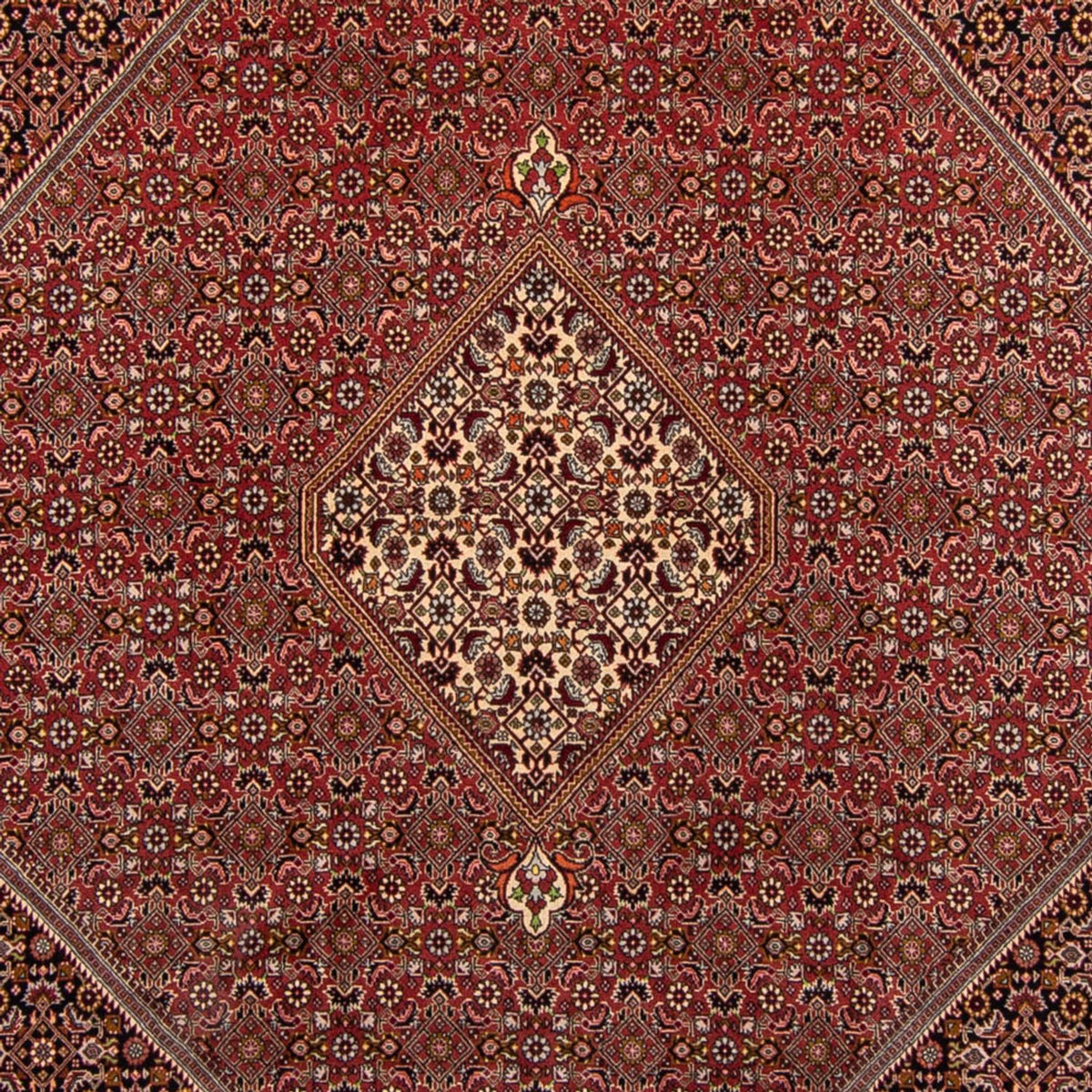 Tappeto Persero - Bidjar - 338 x 250 cm - marrone