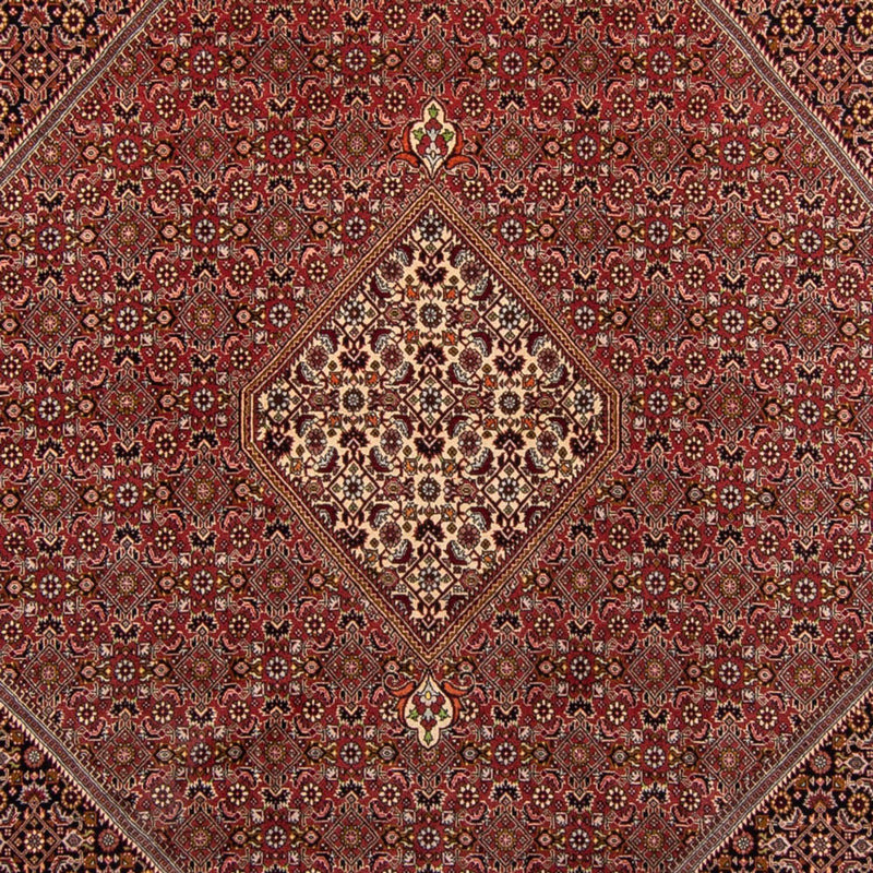 Tappeto Persero - Bidjar - 338 x 250 cm - marrone