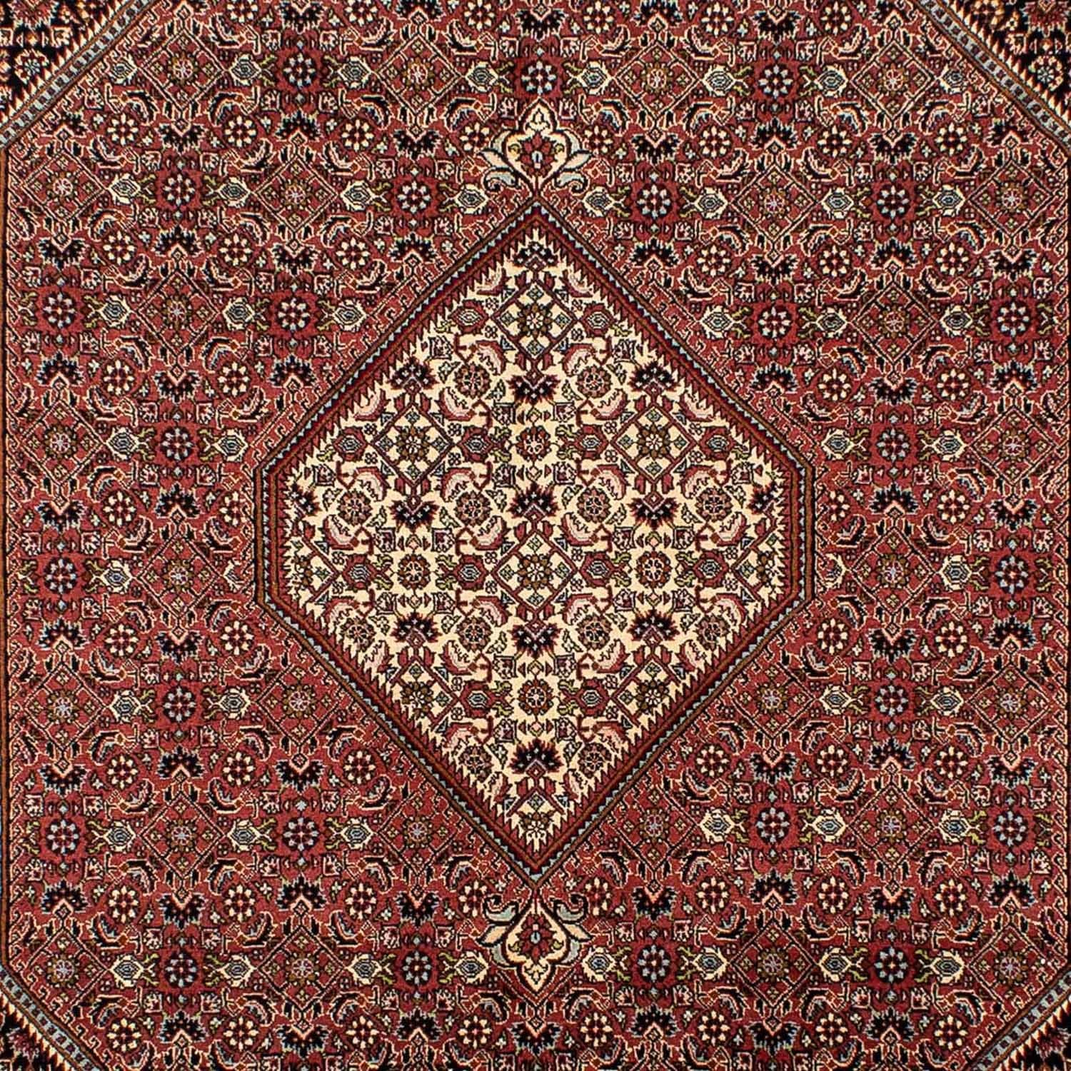 Tappeto Persero - Bidjar - 298 x 195 cm - marrone